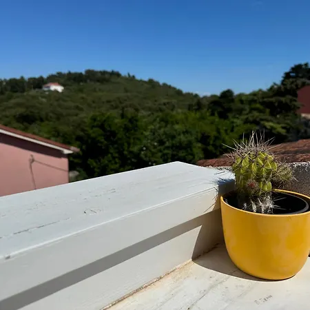 Lorena 4* Mali Lošinj